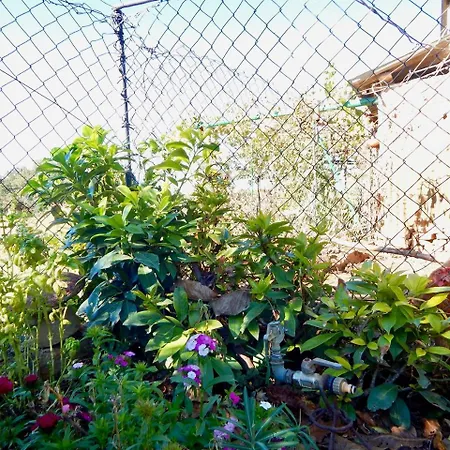 Lovley Rural With Garden 3* Pula